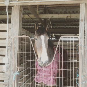 Meet your Posher, Rayne